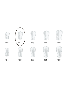 Produktbild - VF000175047 - Kronformar posterior nr 443 refill till pos 1 5-pack