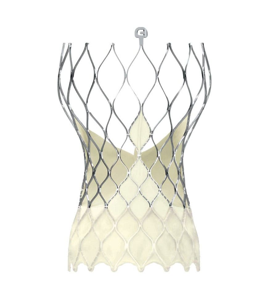 Produktbild - VF000193517 - VLV EVPROPLUS-29