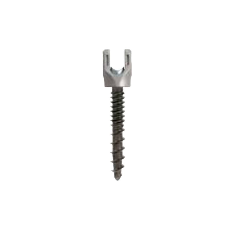 Produktbild - VF000173168 - SCREW 55840005555 5.5