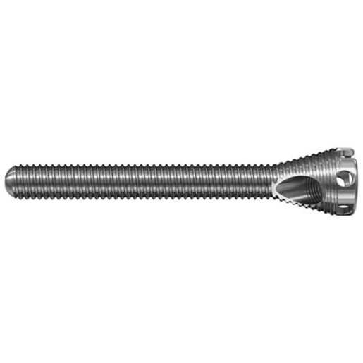 Produktbild - VF000188277 - MULTILOC SCREW Ø4.5 L48 TAN