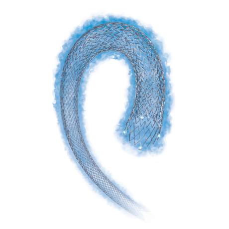 Produktbild - VF000159372 - Stent Bäckenartär självexpanderande 0.035" Epic 6Fr 7x60mm 75cm