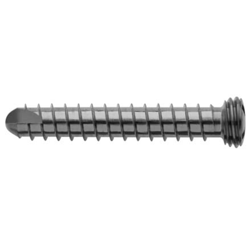 Produktbild - VF000122913 - LOCK SCREW Ø2.9 SELF-TAP L16 TAN