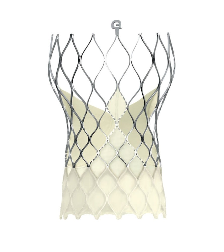 Produktbild - VF000193516 - VLV EVPROPLUS-26