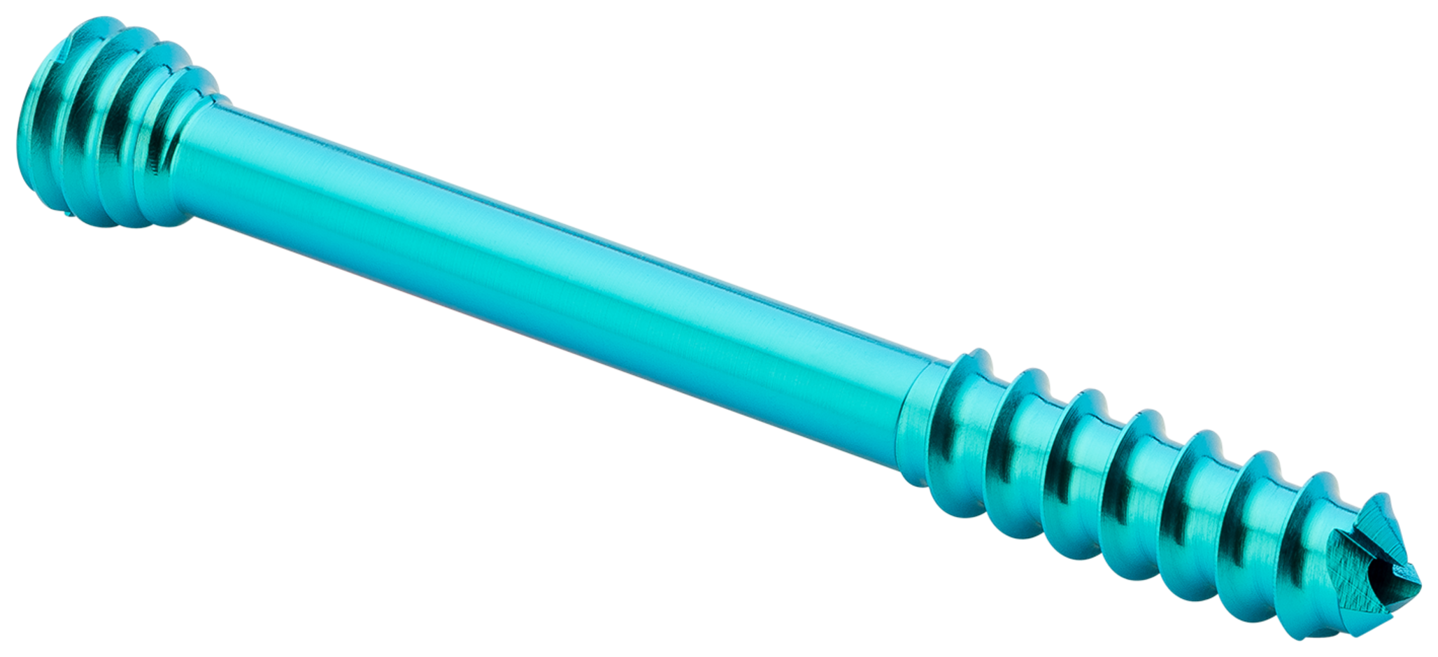 Produktbild - VF000189793 - Kanylerade skruvar, kompression Ø3,5-5, ≤44mm.