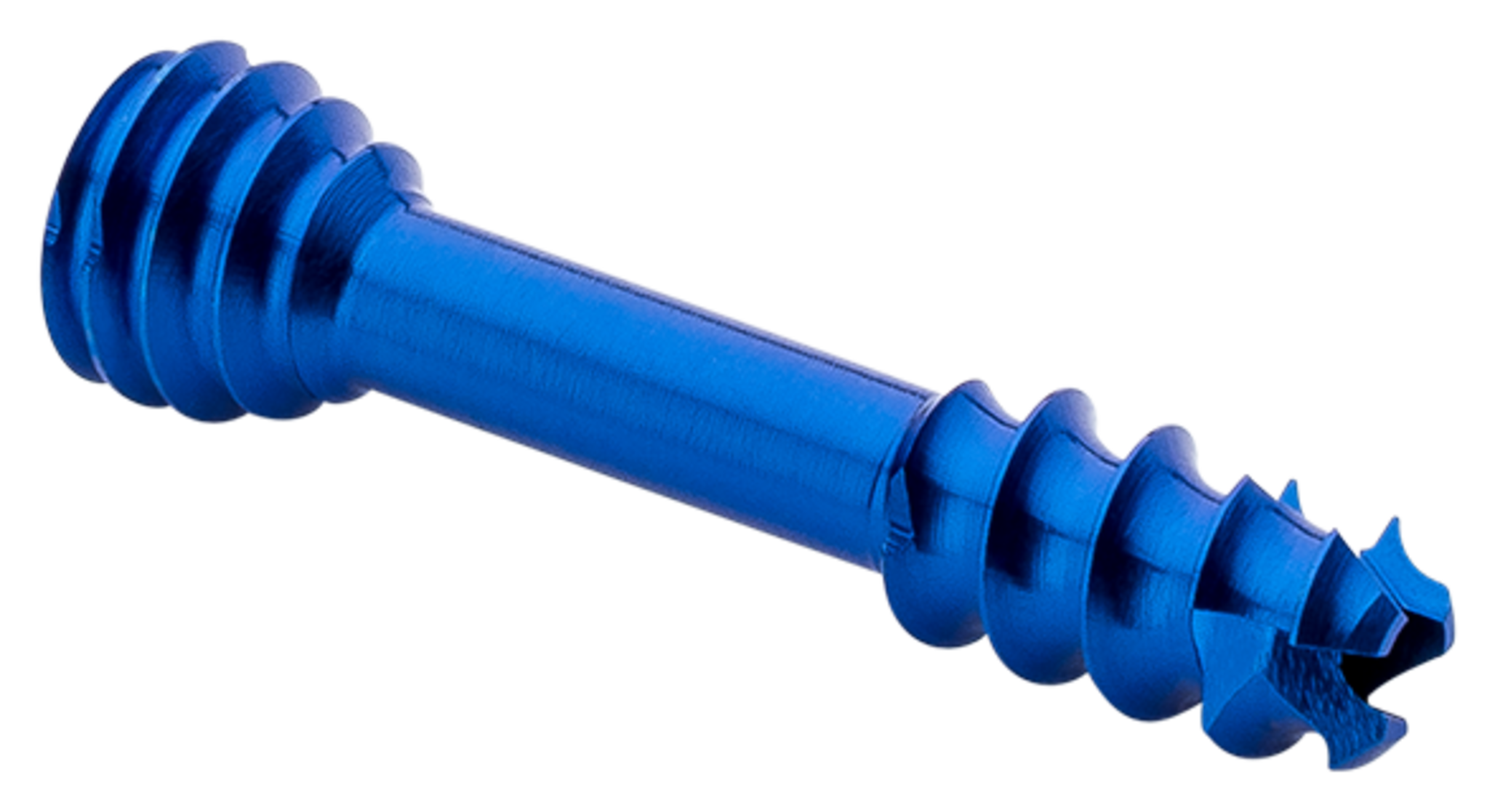 Produktbild - VF000189645 - Kompressionsskruv kanylerad huvudlös 3,0 längd 16