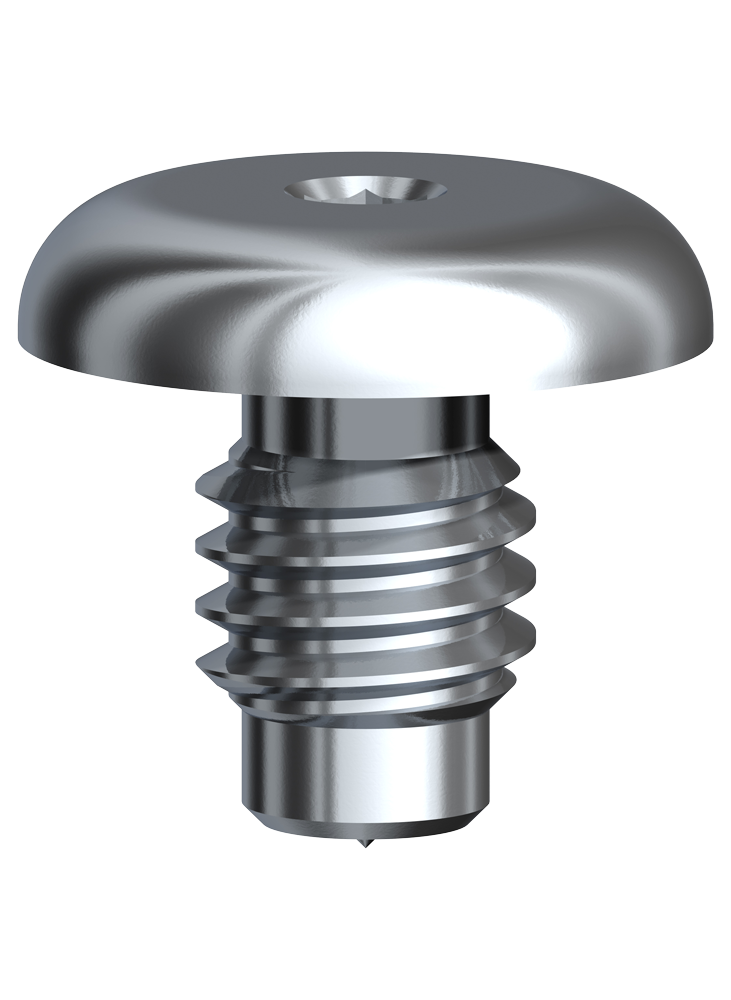 Produktbild - VF000179911 - Täckskruv WP