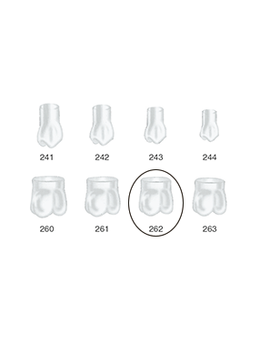 Produktbild - VF000175042 - Kronformar posterior nr 262 refill till pos 1 5-pack