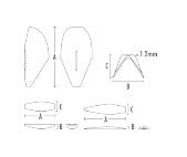 Produktbild - VF000119399 - NASAL SHELL LARGE