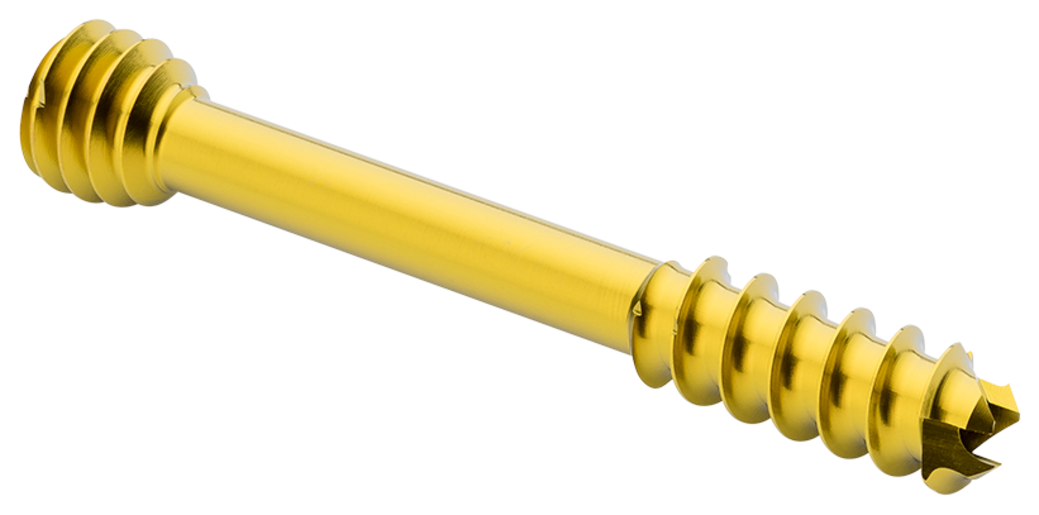 Produktbild - VF000189968 - Kanylerade skruvar, kompression >5,0, ≤60mm.