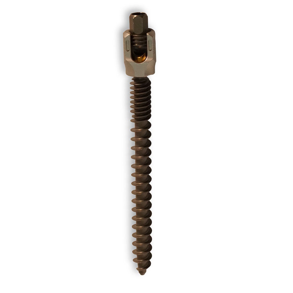 Produktbild - VF000173539 - SCREW 55840018590 5.5 CNMAS 8.5X90 CC