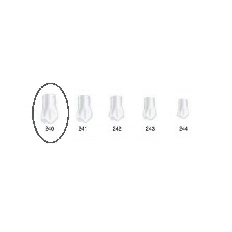 Produktbild - VF000175035 - Kronformar posterior nr 240 refill till pos 1 5-pack