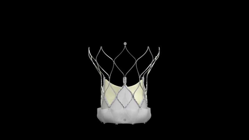 Produktbild - VF000193152 - TAVI klaffprotes 23mm