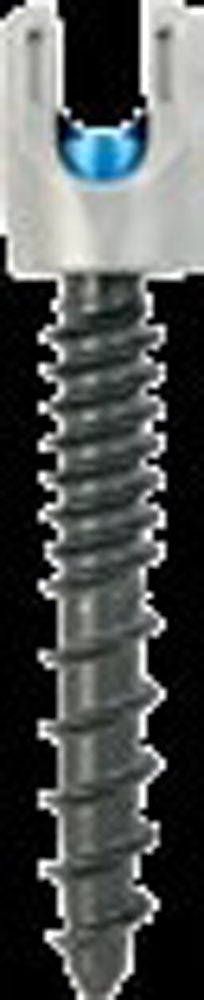Produktbild - VF000173341 - SCREW 55040026545 5.5 FN 6.5X45 CC S OUS