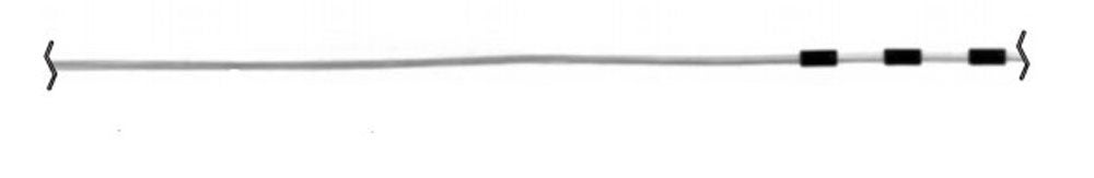 Produktbild - VF000118970 - 977A275//LEAD 977A275 5mm COMPACT 1X8 MRI