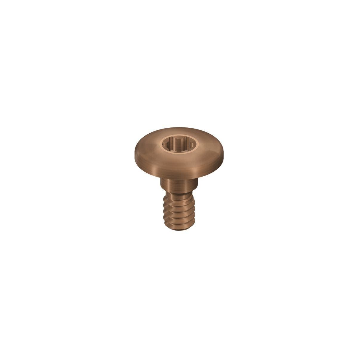 Produktbild 1 - 064.8102S - Täckskruv WB titan höjd 0,5