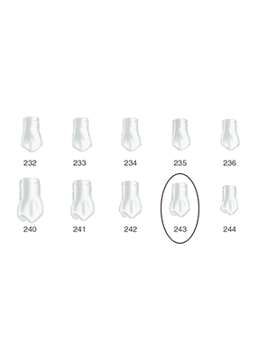 Produktbild - VF000175038 - Kronformar posterior nr 243 refill till pos 1 5-pack
