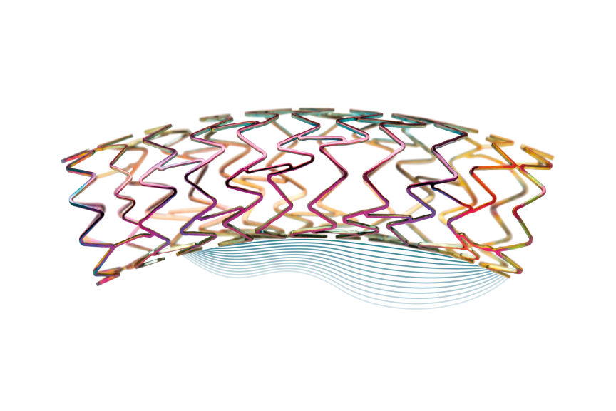 Produktbild - VF000159240 - Stent Renal Visceral Artär Dynamic Renal ballongexpanderande koboltkrom 0.014"