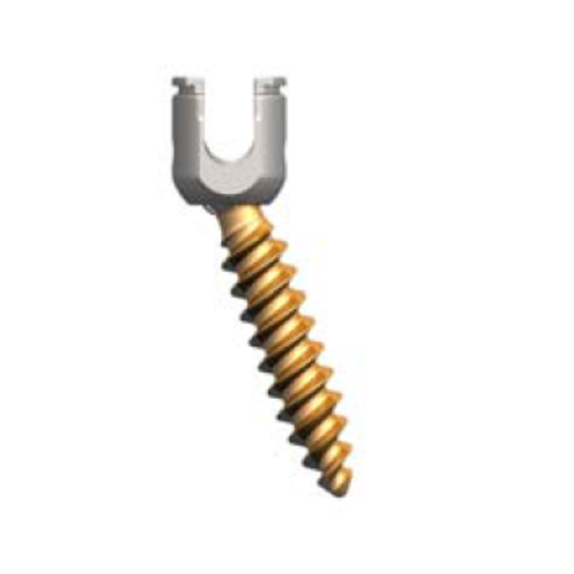 Produktbild - VF000166459 - EXP TI POLY SCREW 8MMX65MM