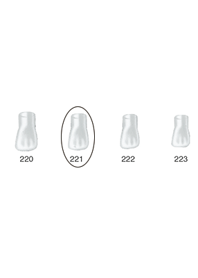 Produktbild - VF000175088 - Kronformar anterior nr 221 refill till pos 3 5-pack