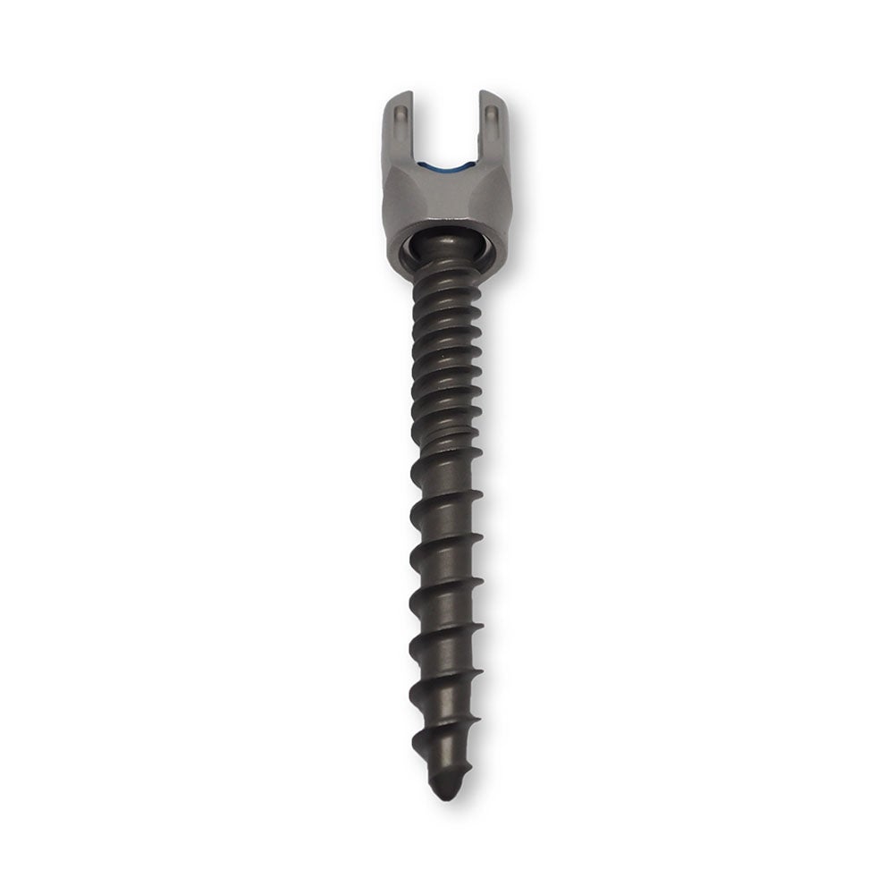 Produktbild - VF000173151 - SCREW 55840004550 5.5