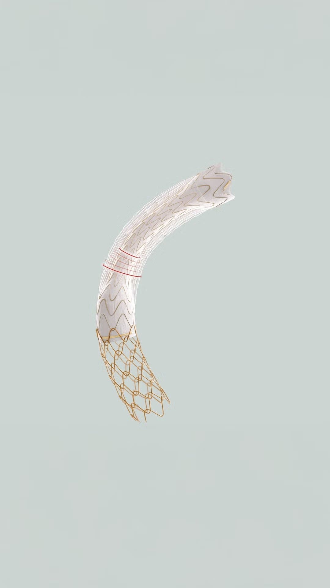 Produktbild - VF000158948 - Stentgraft TIPS självexpanderande Gore Viatorr 8-10mmx5cm x 2
