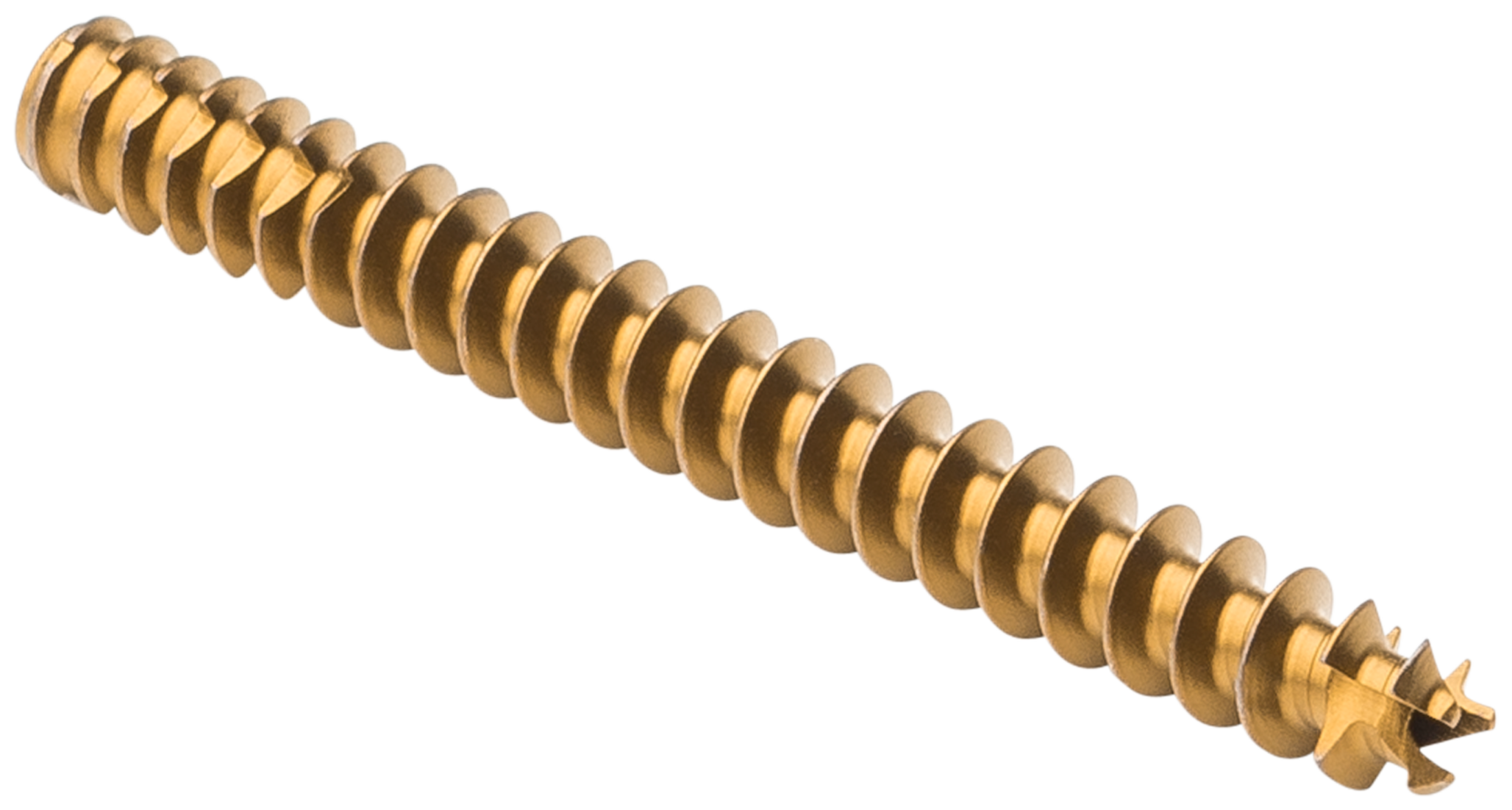 Produktbild - VF000189688 - Kompressionsskruv kanylerad huvudlös micro 2,5 längd 28mm