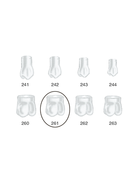 Produktbild - VF000175041 - Kronformar posterior nr 261 refill till pos 1 5-pack