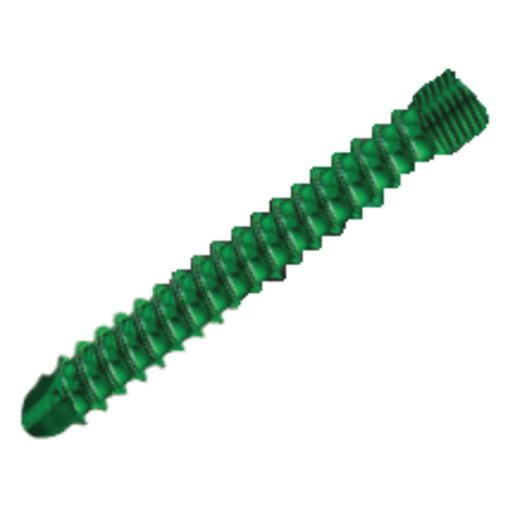 Produktbild - VF000124299 - GRIPTION TF 5.5X30MM SCREW STE