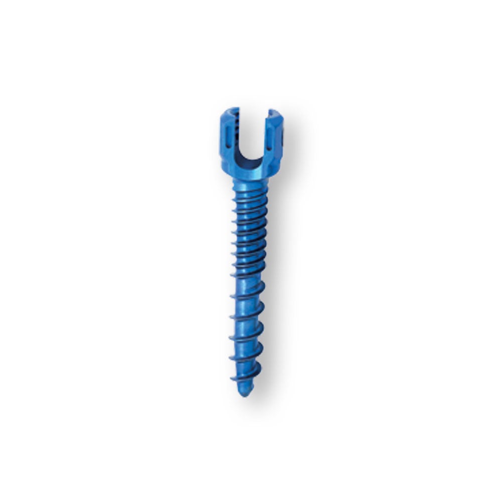 Produktbild - VF000172963 - SCREW 55310006530 5.5