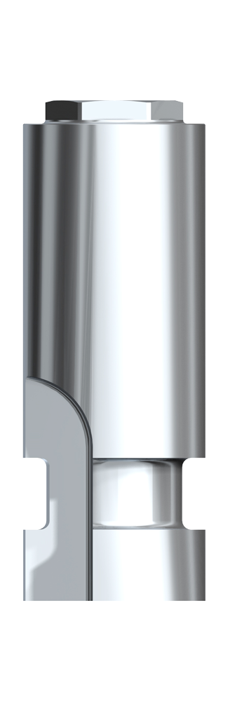 Produktbild - VF000180337 - Implantatreplika WP