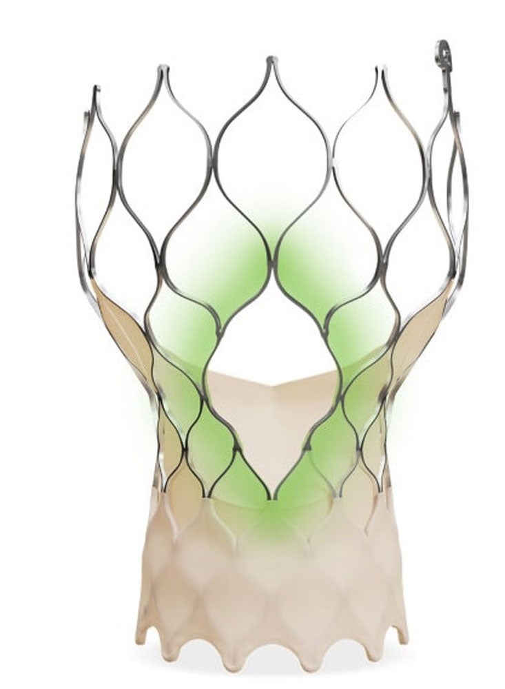 Produktbild - VF000193434 - TAV EVFXPLUS-29 COMM OUS